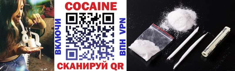 закладки  Инсар  Cocaine FishScale 