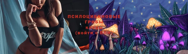 ешки Абинск