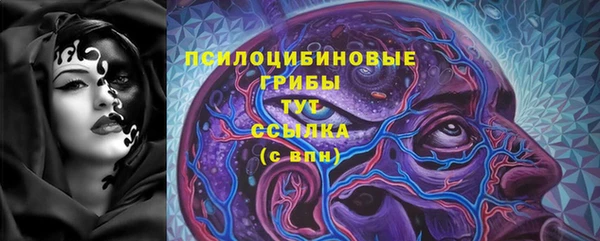 индика Абдулино