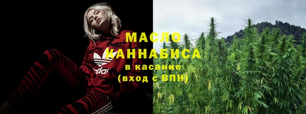 индика Абдулино